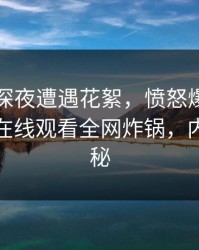 网红在深夜遭遇花絮，愤怒爆发！蘑菇影视在线观看全网炸锅，内幕大揭秘