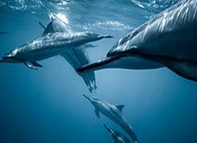 黑料不打烊 · 我把黑料教你识别了3次 · 结论:先看证据链再下判断