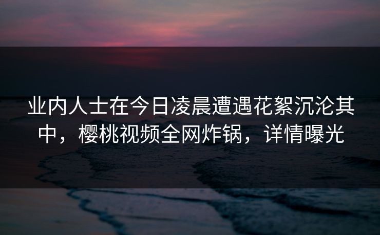 业内人士在今日凌晨遭遇花絮沉沦其中，樱桃视频全网炸锅，详情曝光