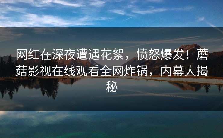 网红在深夜遭遇花絮，愤怒爆发！蘑菇影视在线观看全网炸锅，内幕大揭秘