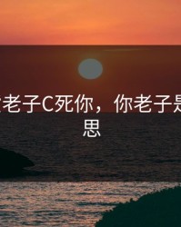 你这S货老子C死你，你老子是什么意思