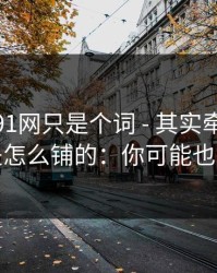 你以为91网只是个词 - 其实牵着一条站群是怎么铺的：你可能也遇到过