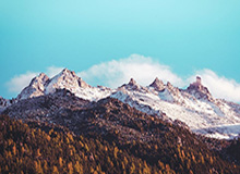 把“今日黑料官网”当八卦看，可能会付出代价：二次传播伤害不是吓唬你