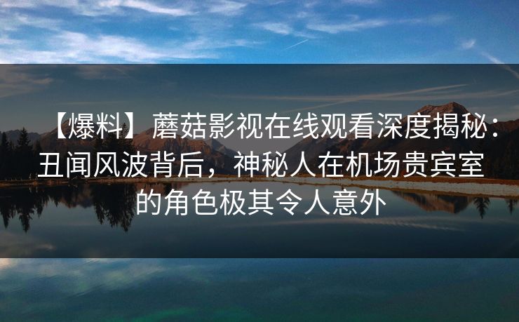 【爆料】蘑菇影视在线观看深度揭秘：丑闻风波背后，神秘人在机场贵宾室的角色极其令人意外