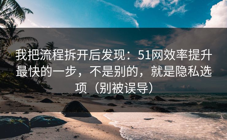 我把流程拆开后发现：51网效率提升最快的一步，不是别的，就是隐私选项（别被误导）